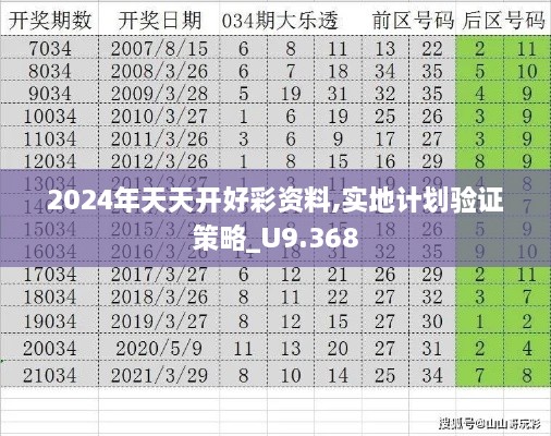 2024年天天开好彩资料,实地计划验证策略_U9.368