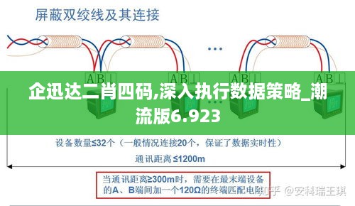 企迅达二肖四码,深入执行数据策略_潮流版6.923