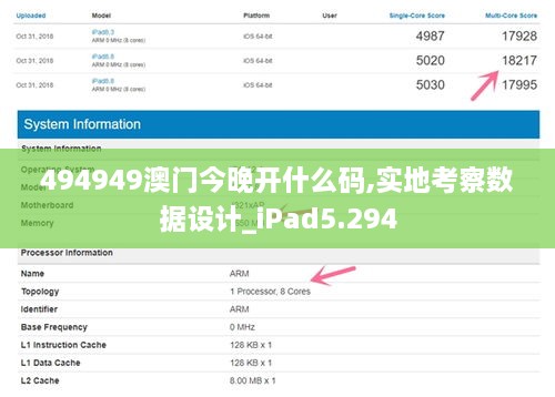 494949澳门今晚开什么码,实地考察数据设计_iPad5.294