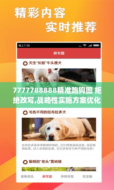 7777788888精准跑狗图 拒绝改写,战略性实施方案优化_专属款18.702