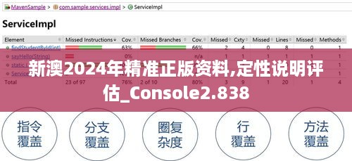 新澳2024年精准正版资料,定性说明评估_Console2.838