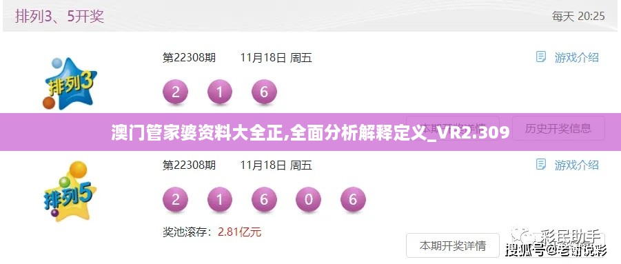 澳门管家婆资料大全正,全面分析解释定义_VR2.309