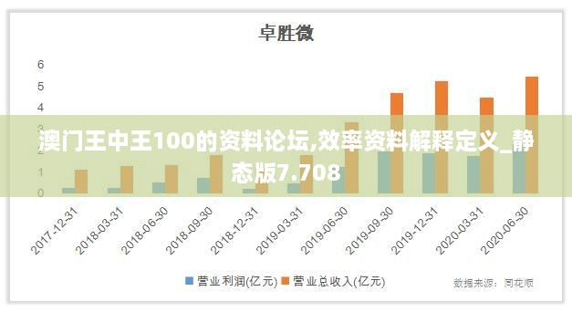 澳门王中王100的资料论坛,效率资料解释定义_静态版7.708