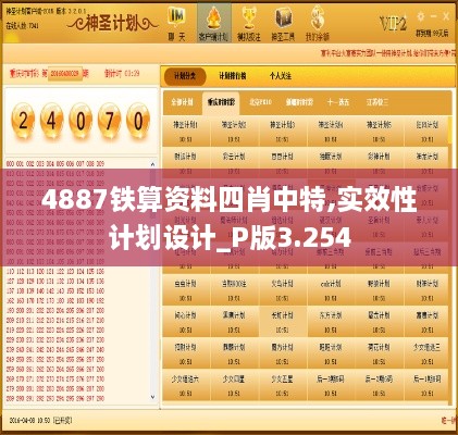 4887铁算资料四肖中特,实效性计划设计_P版3.254