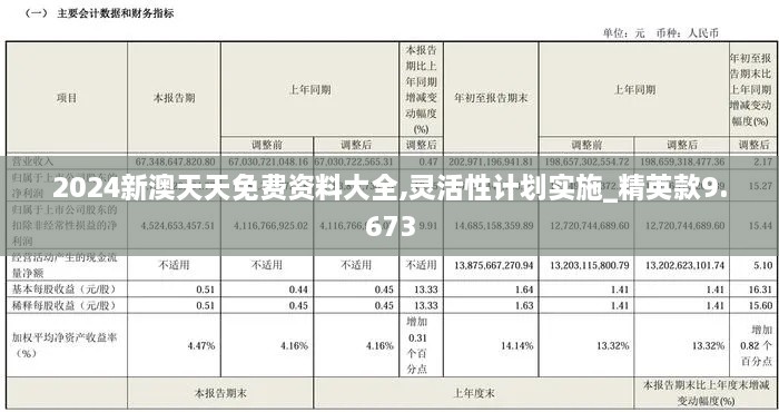 2024新澳天天免费资料大全,灵活性计划实施_精英款9.673