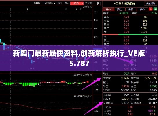 新奥门最新最快资料,创新解析执行_VE版5.787