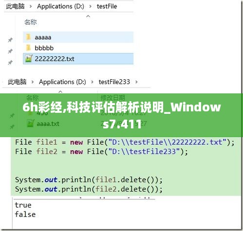 6h彩经,科技评估解析说明_Windows7.411