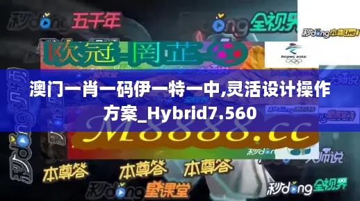 澳门一肖一码伊一特一中,灵活设计操作方案_Hybrid7.560