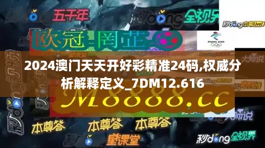 2024澳门天天开好彩精准24码,权威分析解释定义_7DM12.616