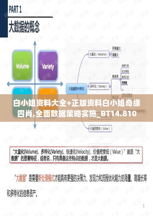 白小姐资料大全+正版资料白小姐奇缘四肖,全面数据策略实施_BT14.810