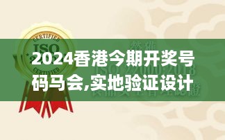 2024年12月8日 第28页