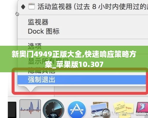 新奥门4949正版大全,快速响应策略方案_苹果版10.307