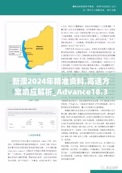 新澳2024年精准资料,高速方案响应解析_Advance18.356