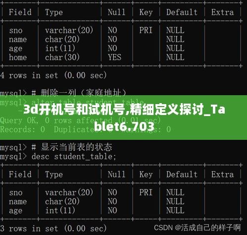 3d开机号和试机号,精细定义探讨_Tablet6.703