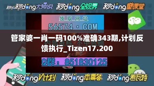 管家婆一肖一码100%准确343期,计划反馈执行_Tizen17.200