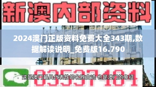 2024澳门正版资料免费大全343期,数据解读说明_免费版16.790