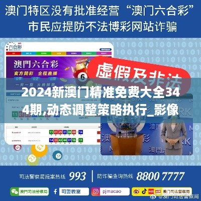 2024新澳门精准免费大全344期,动态调整策略执行_影像版10.603