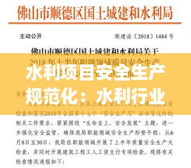 水利项目安全生产规范化：水利行业安全生产实施方案 