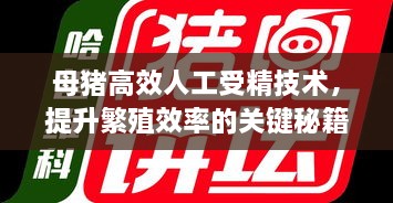 母猪高效人工受精技术，提升繁殖效率的关键秘籍！