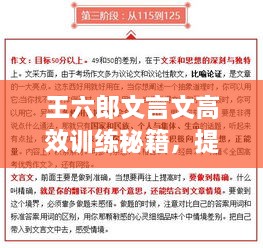 王六郎文言文高效训练秘籍，提升你的文言文水平！