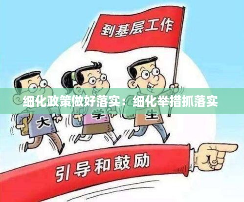 细化政策做好落实：细化举措抓落实 