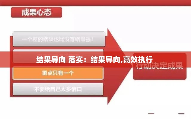 结果导向 落实：结果导向,高效执行 