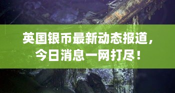 英国银币最新动态报道，今日消息一网打尽！