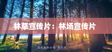 林草宣传片：林场宣传片 