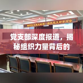 党支部深度报道，揭秘组织力量背后的故事