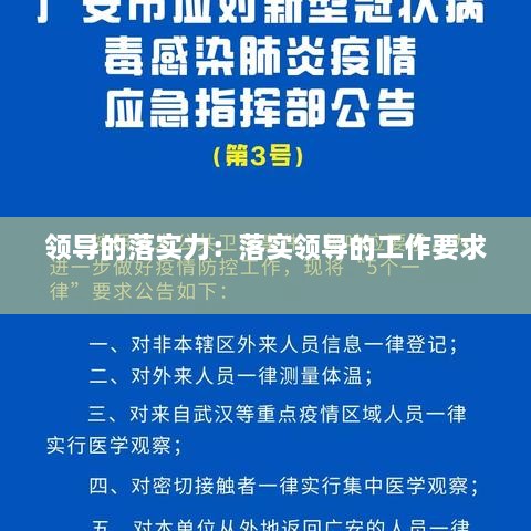 领导的落实力：落实领导的工作要求 