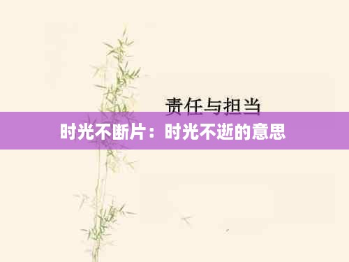 时光不断片：时光不逝的意思 