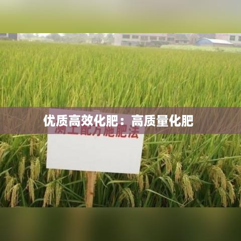 优质高效化肥：高质量化肥 