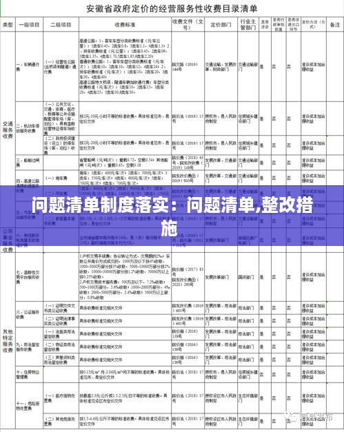 问题清单制度落实：问题清单,整改措施 