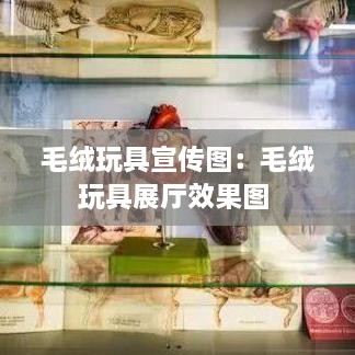 毛绒玩具宣传图：毛绒玩具展厅效果图 