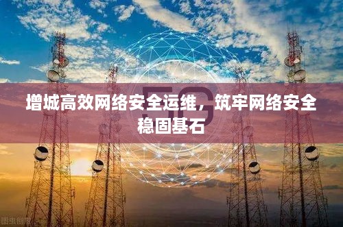 增城高效网络安全运维，筑牢网络安全稳固基石