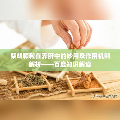 柴胡颗粒在养肝中的妙用及作用机制解析——百度知识解读