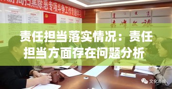 责任担当落实情况：责任担当方面存在问题分析 