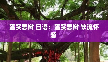 落实思树 日语：落实思树 饮流怀源 