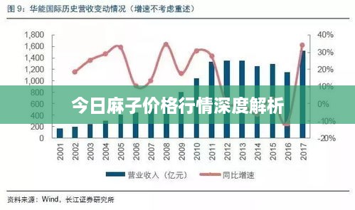 今日麻子价格行情深度解析