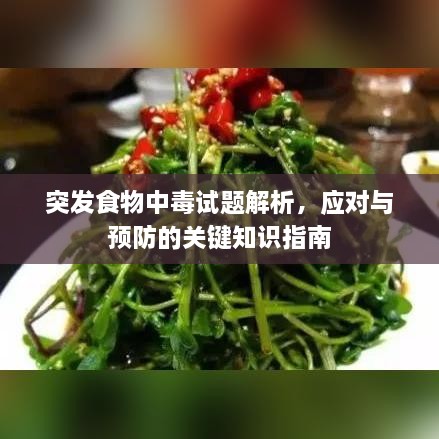 突发食物中毒试题解析，应对与预防的关键知识指南