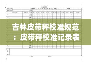 吉林皮带秤校准规范：皮带秤校准记录表 