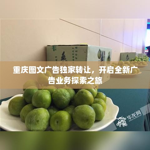 重庆图文广告独家转让，开启全新广告业务探索之旅