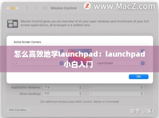 怎么高效地学launchpad：launchpad小白入门 