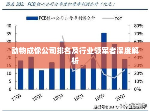 动物成像公司排名及行业领军者深度解析