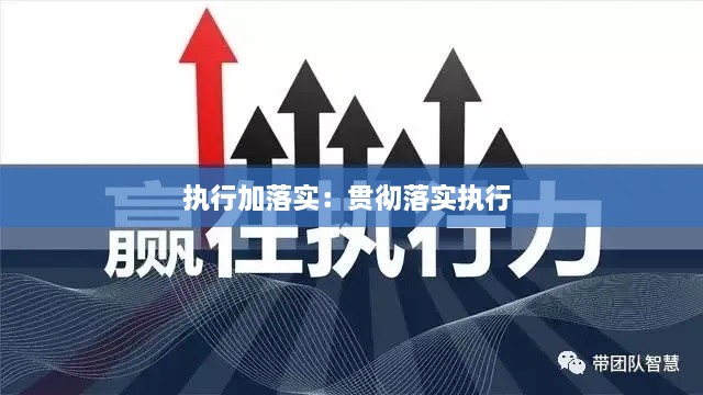 执行加落实：贯彻落实执行 