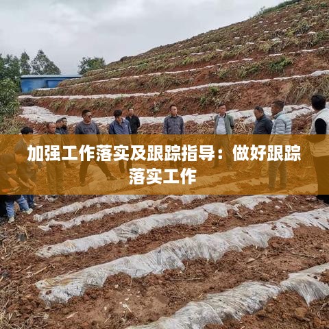 加强工作落实及跟踪指导：做好跟踪落实工作 