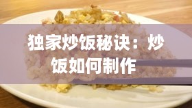 独家炒饭秘诀：炒饭如何制作 