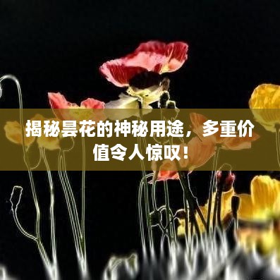 揭秘昙花的神秘用途，多重价值令人惊叹！