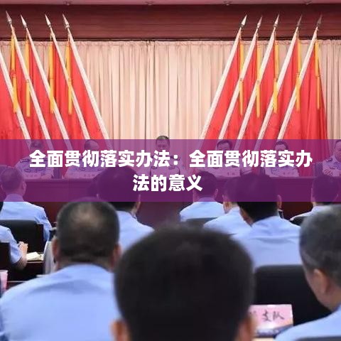 全面贯彻落实办法：全面贯彻落实办法的意义 