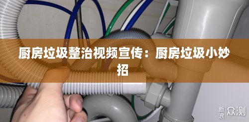 厨房垃圾整治视频宣传：厨房垃圾小妙招 